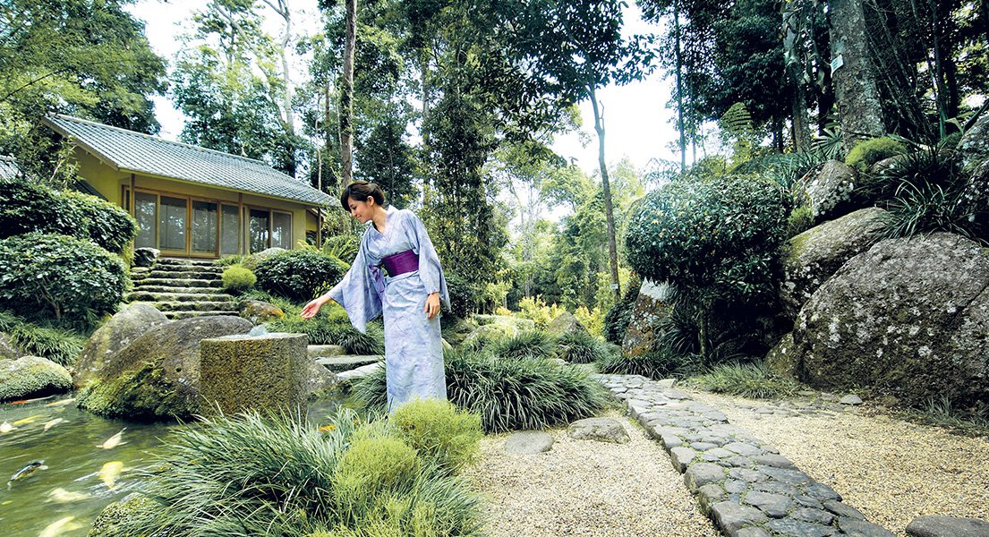 Japanese-Tea-House-Koi-Feeding