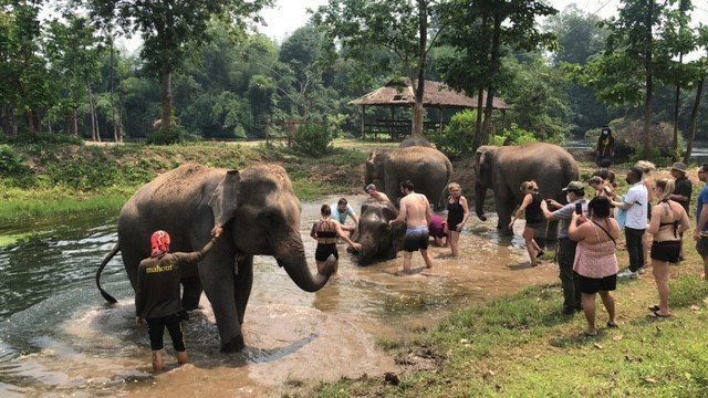 original-1674046323468